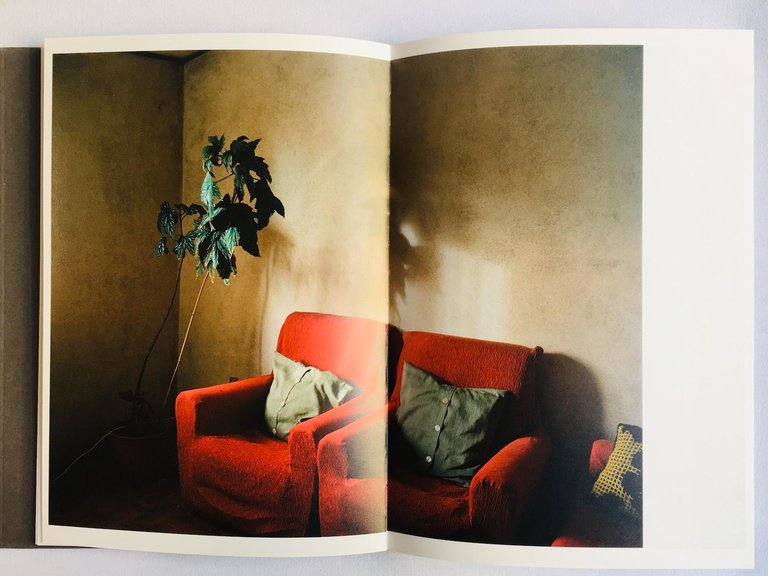 Lapa Do Lobo | Immagine Gallery 8