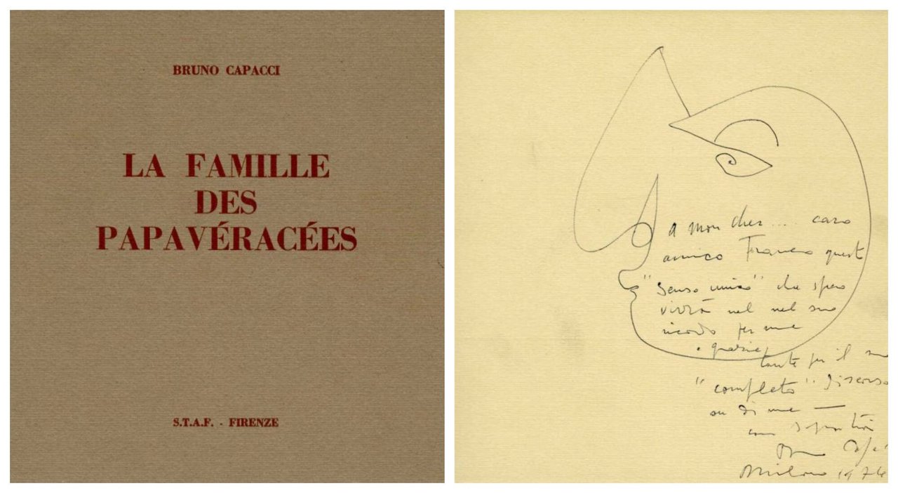 Le prontuaire analogique de la quarante-septième famille des papavéracées | Immagine principale