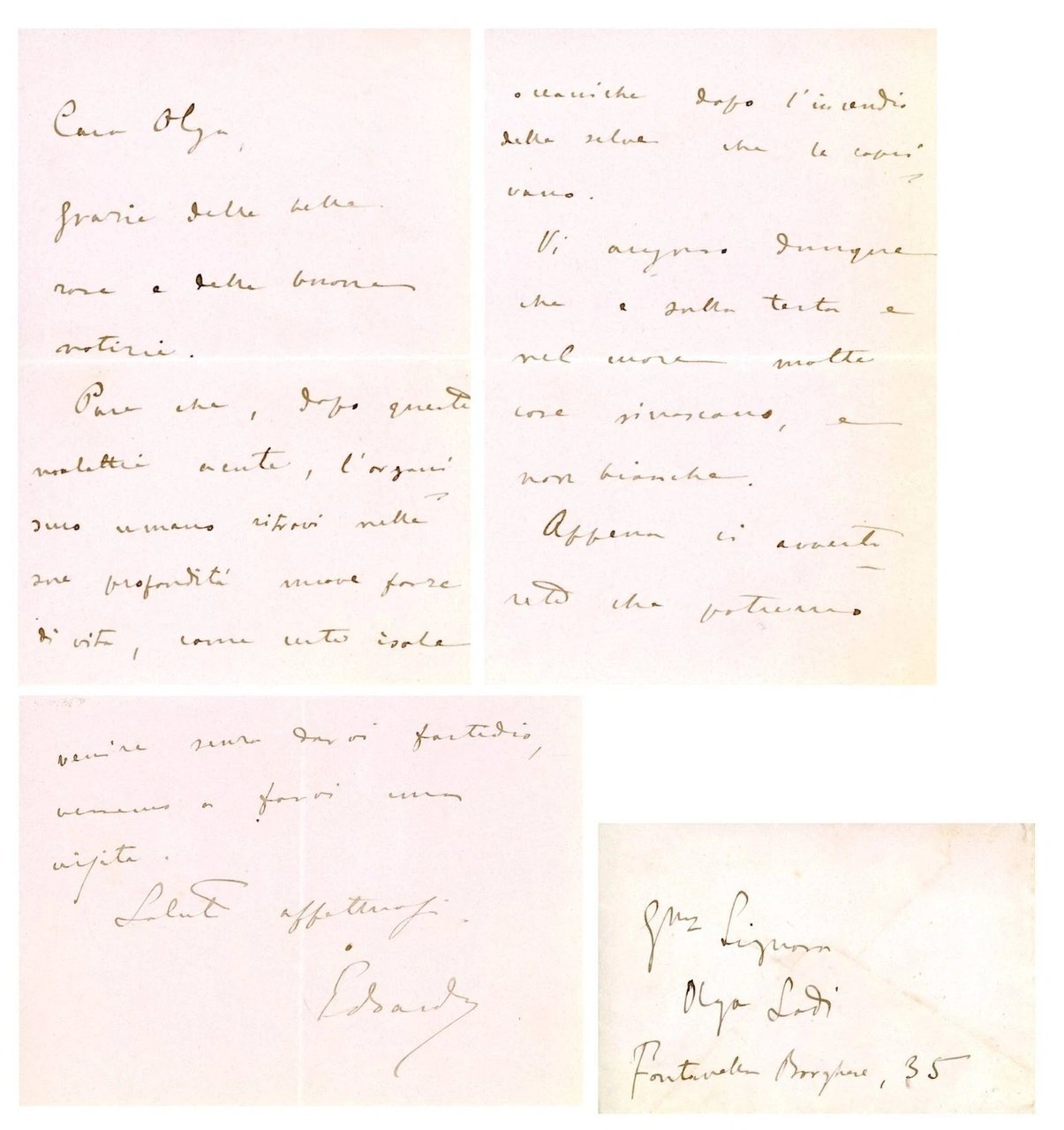 Lettera autografa indirizzata a Olga Ossani | Immagine principale