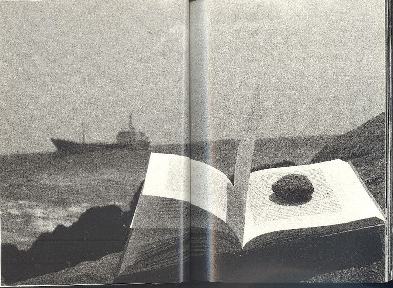 Librarium | Immagine Gallery 2