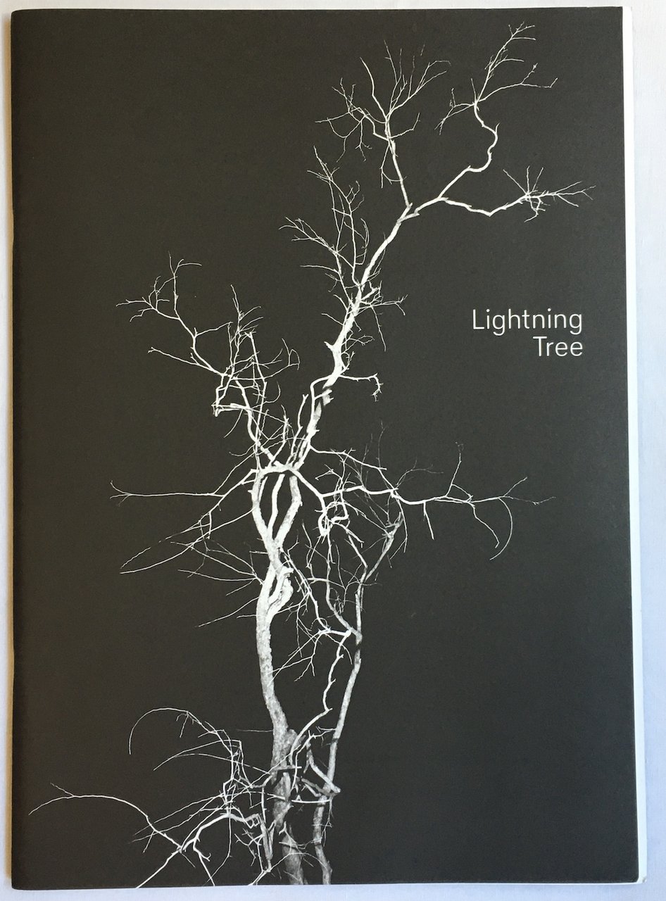 Lightning Tree | Immagine principale