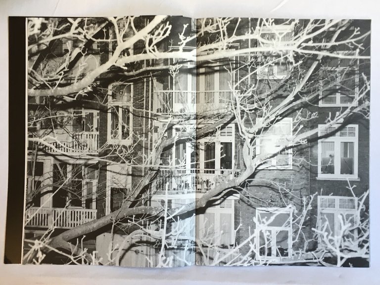 Lightning Tree | Immagine Gallery 4