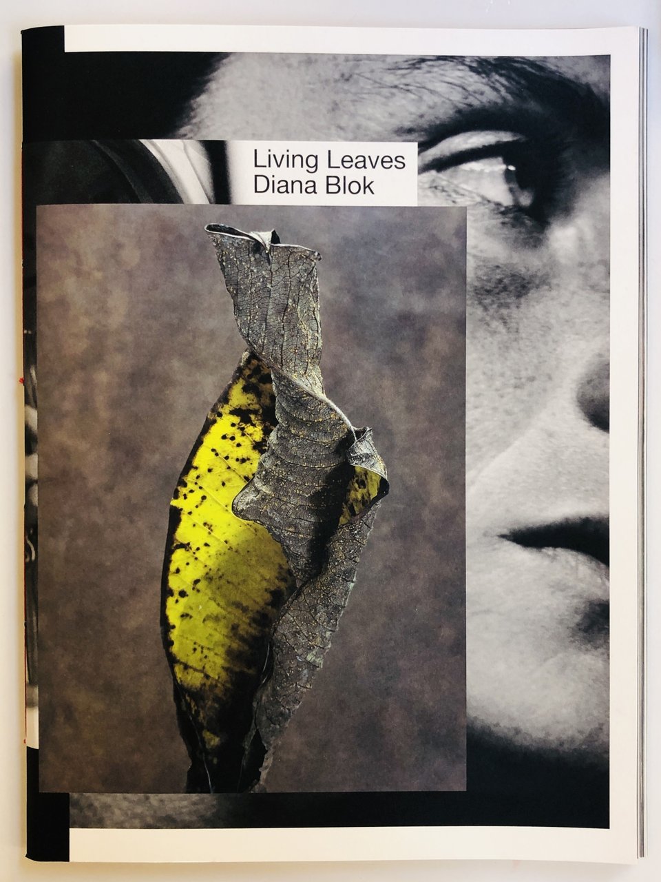 Living Leaves | Immagine principale