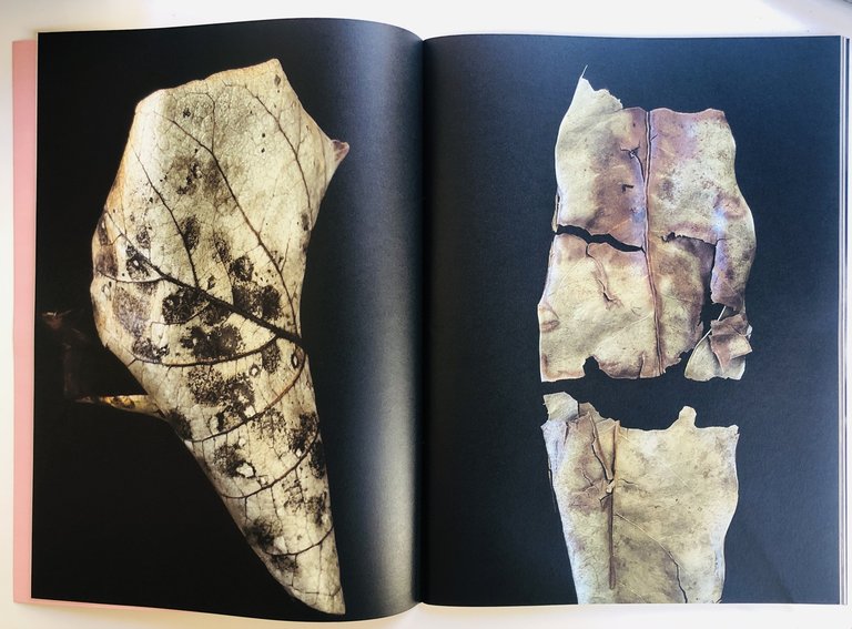 Living Leaves | Immagine Gallery 2