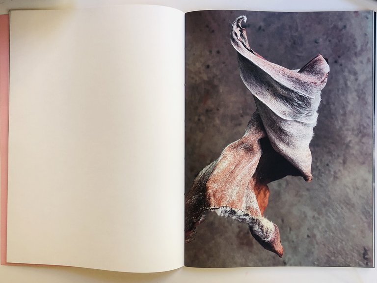 Living Leaves | Immagine Gallery 3