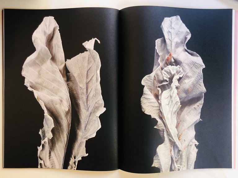 Living Leaves | Immagine Gallery 5