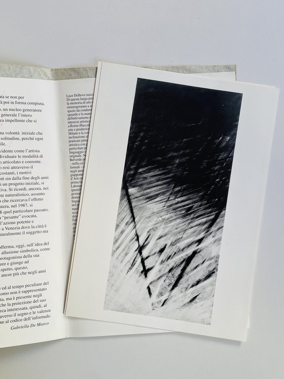 Luce Delhove | Immagine Gallery 2