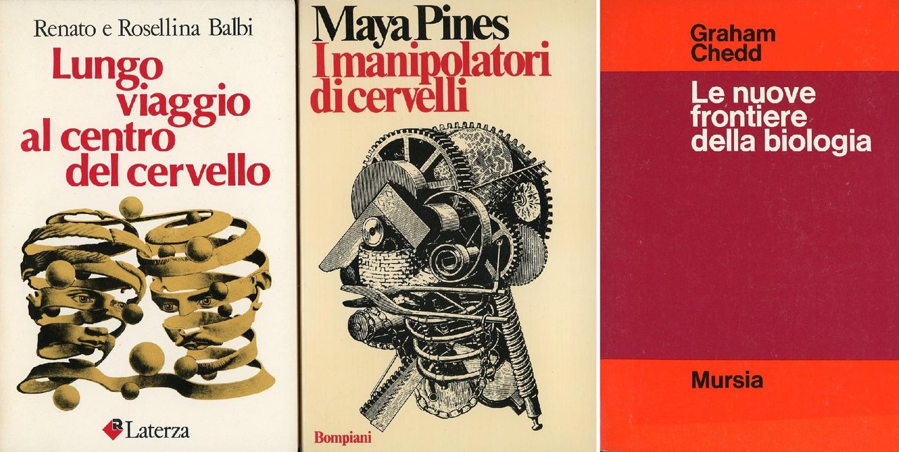 Lungo viaggio al centro del cervello | Immagine principale