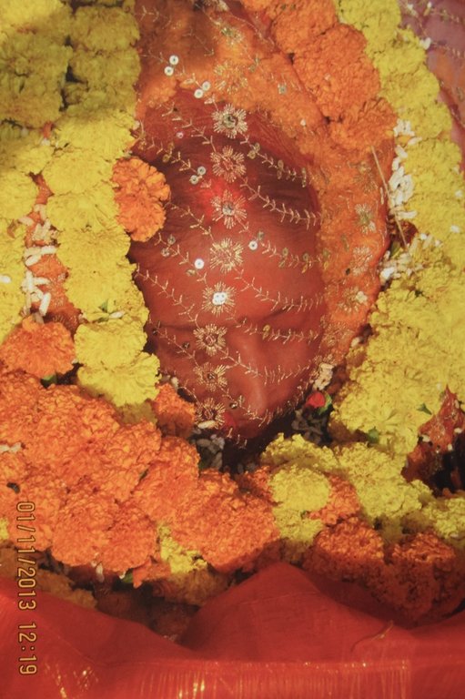 MAA | Immagine Gallery 5