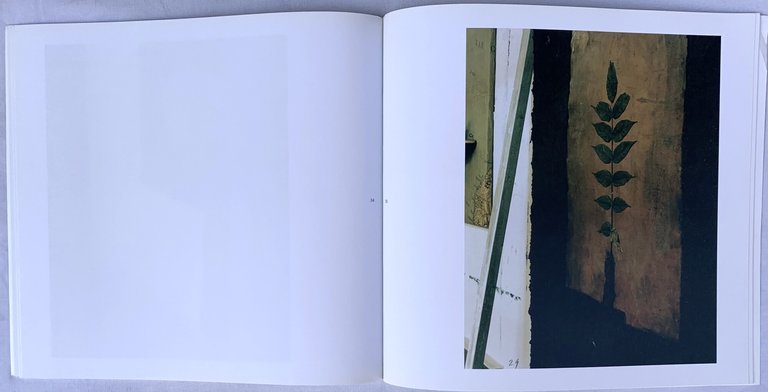 Madonna dell'Orto 3535 Venezia | Immagine Gallery 3