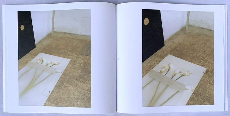 Madonna dell'Orto 3535 Venezia | Immagine Gallery 4