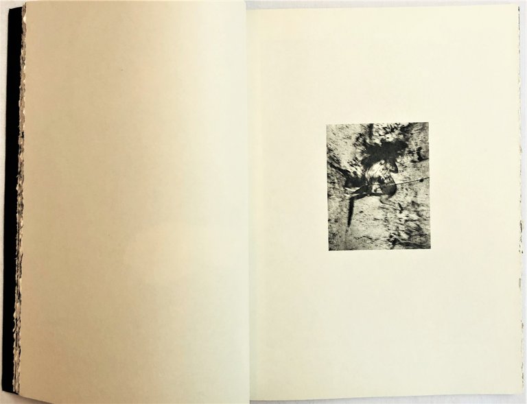 Magara Albino | Immagine Gallery 2