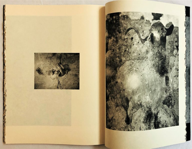 Magara Albino | Immagine Gallery 5