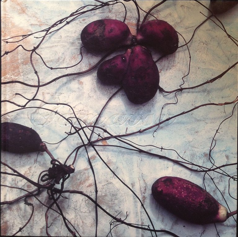 Make | Immagine Gallery 2