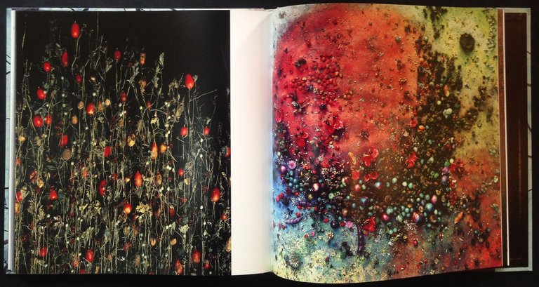 Make | Immagine Gallery 7