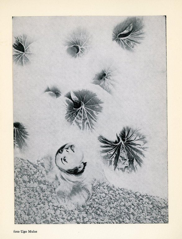 Marialuisa De Romans | Immagine Gallery 2