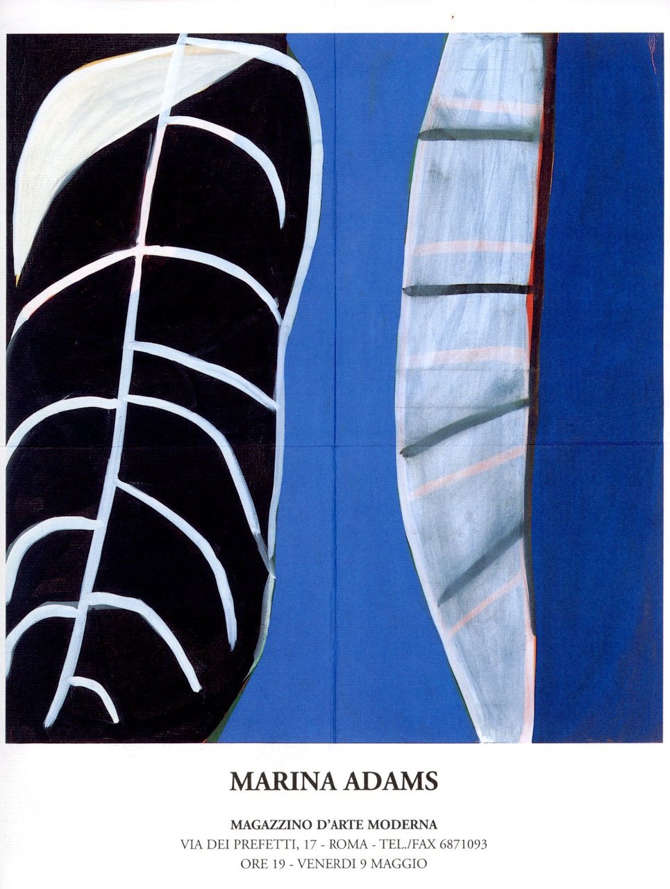 Marina Adams. The nature of Line | Immagine principale