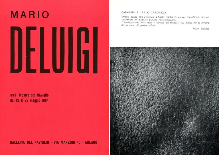 Mario De Luigi | Immagine Gallery 2