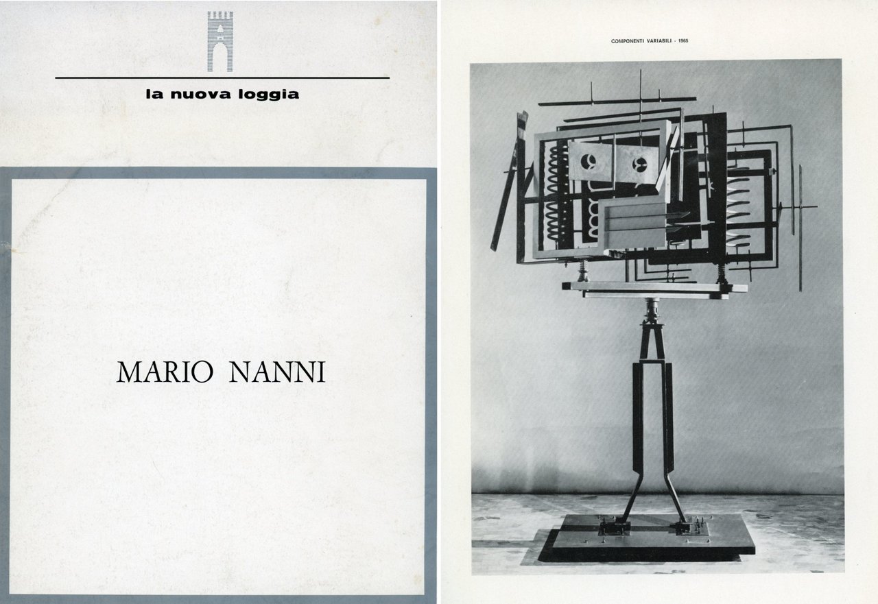 Mario Nanni | Immagine principale