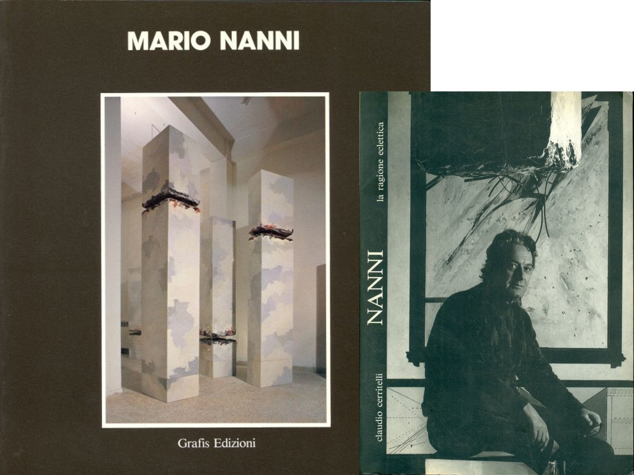 Mario Nanni | Immagine principale