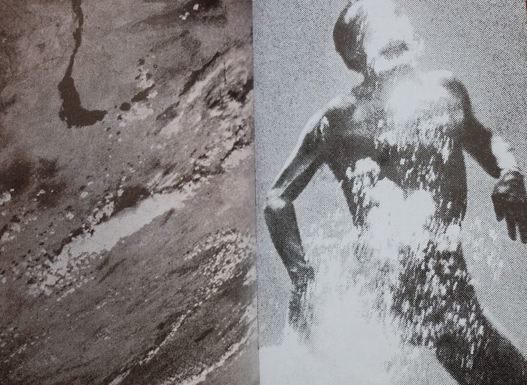 Mélaina Cholé | Immagine Gallery 4