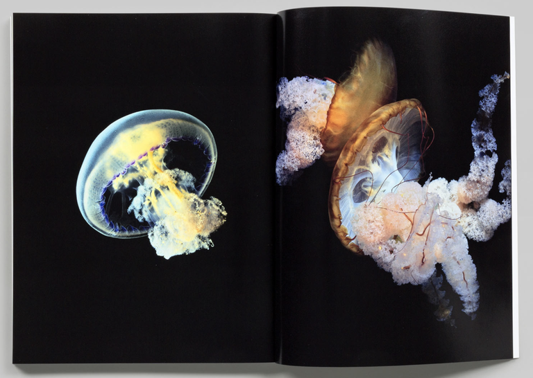 Mocafico Numéro | Immagine Gallery 3