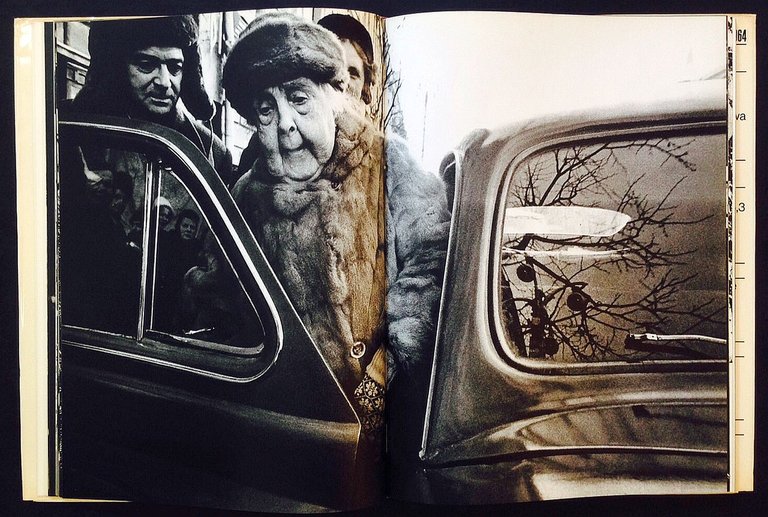 Mosca | Immagine Gallery 3