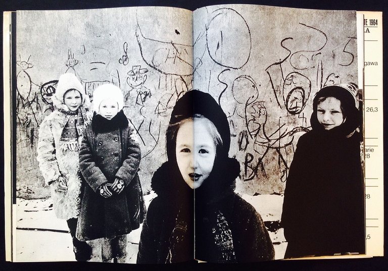 Mosca | Immagine Gallery 6