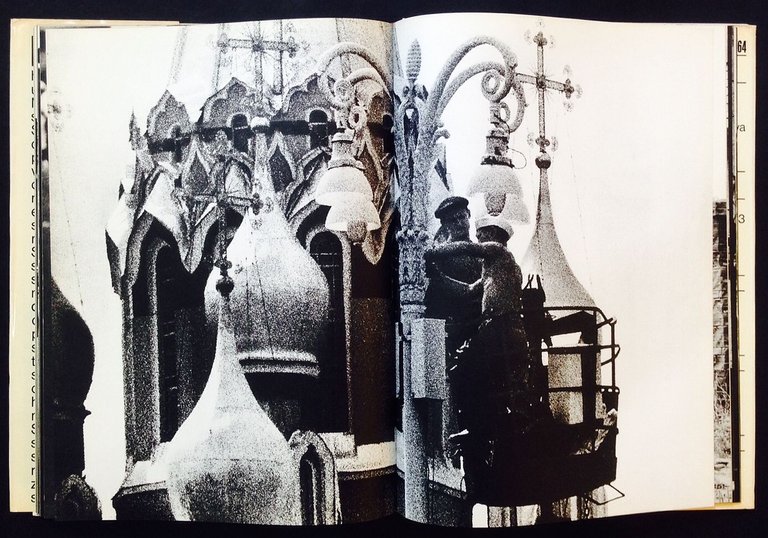 Mosca | Immagine Gallery 7