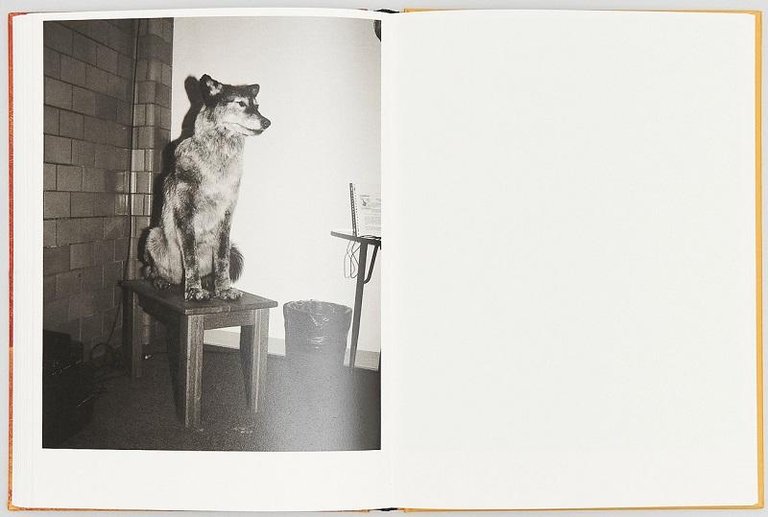 Most were silent | Immagine Gallery 3