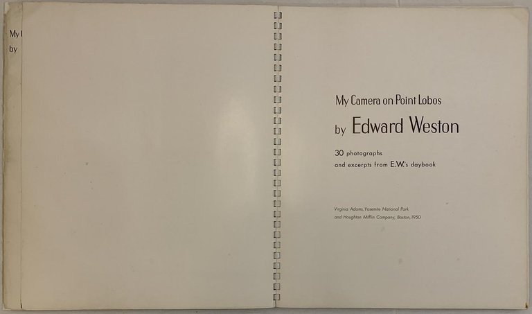 My Camera on Point Lobos | Immagine Gallery 2