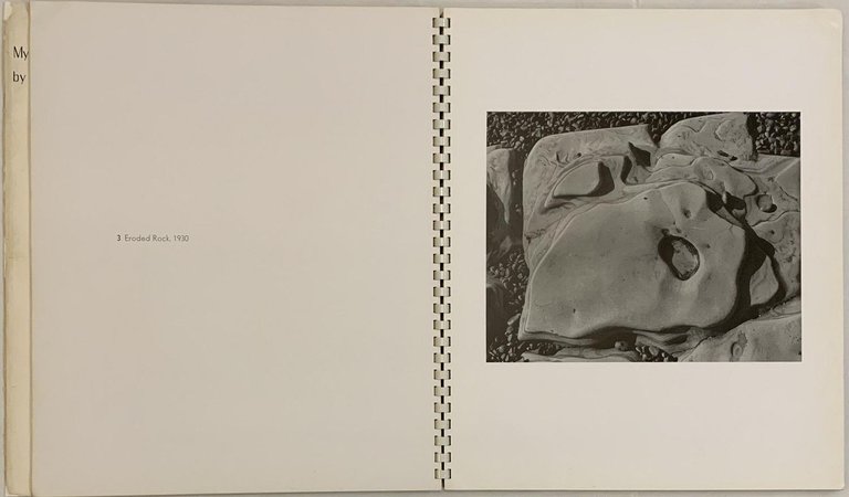 My Camera on Point Lobos | Immagine Gallery 3