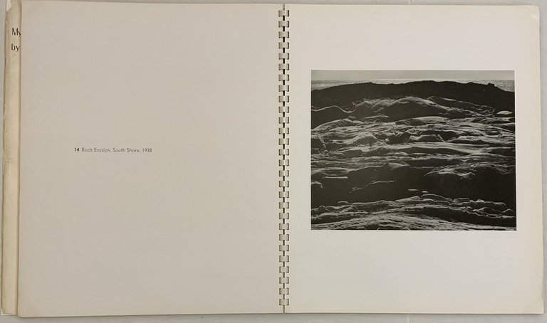 My Camera on Point Lobos | Immagine Gallery 4