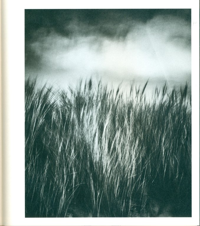 My Other Side | Immagine Gallery 2