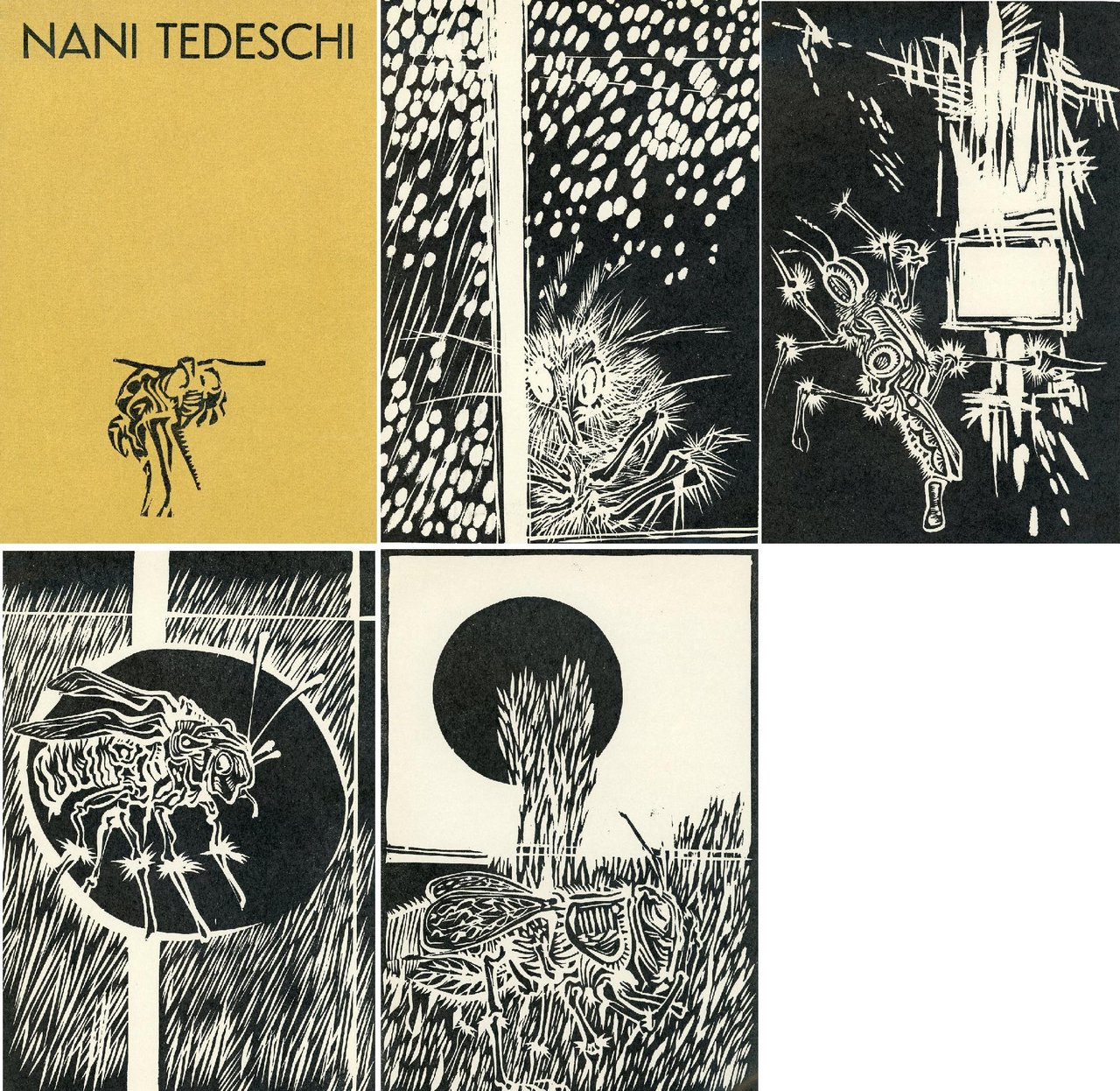 Nani Tedeschi | Immagine principale