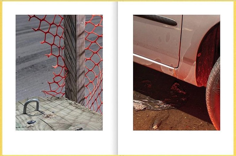 Neighborhood Stroll | Immagine Gallery 4