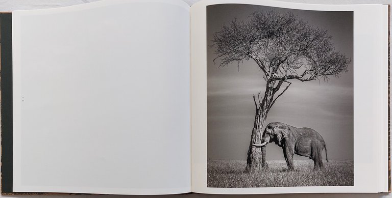 No Dread not Hope Attend. Photographs from the Plains of … | Immagine Gallery 2