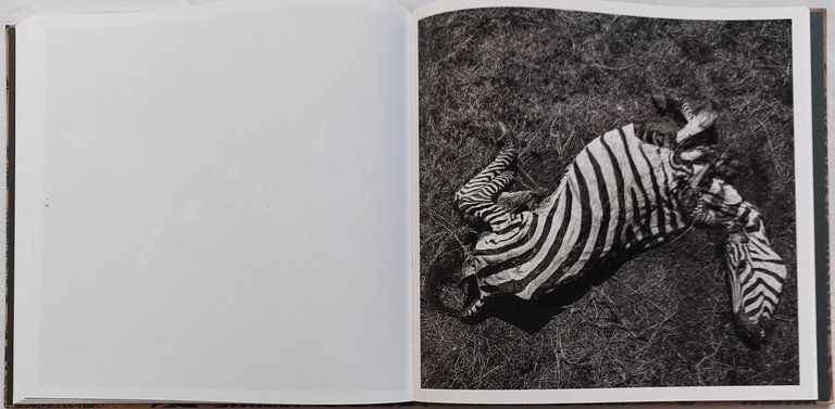 No Dread not Hope Attend. Photographs from the Plains of … | Immagine Gallery 4