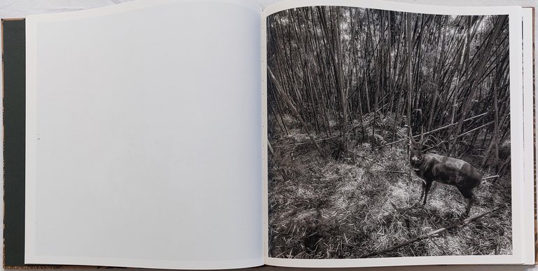 No Dread not Hope Attend. Photographs from the Plains of … | Immagine Gallery 5