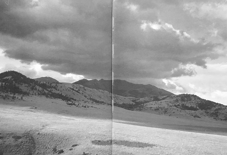 No Valet Parking | Immagine Gallery 2