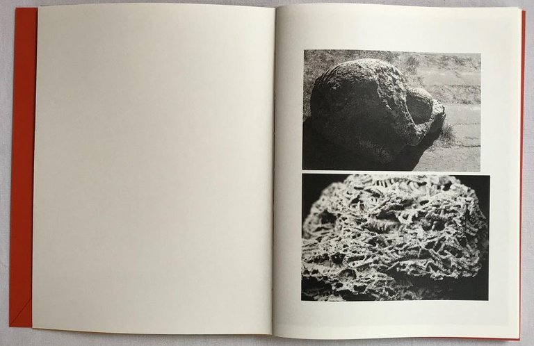 Nomad | Immagine Gallery 4