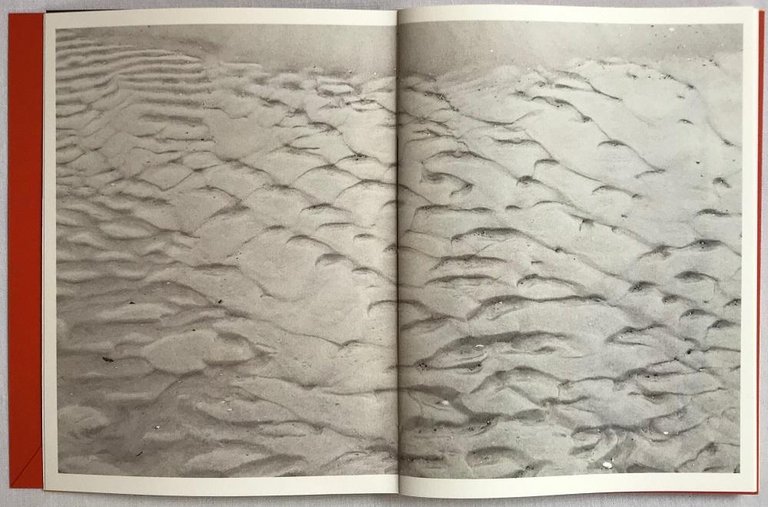 Nomad | Immagine Gallery 5