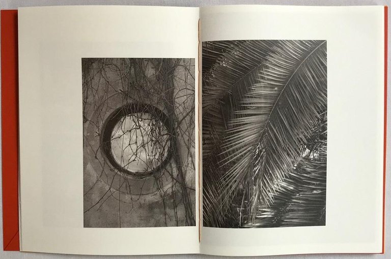 Nomad | Immagine Gallery 6