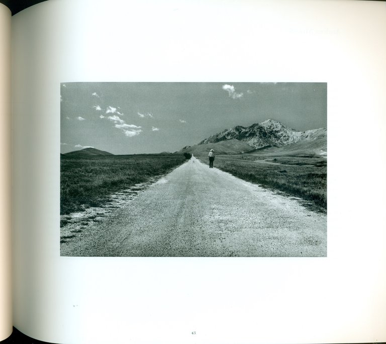 Oltre il visibile | Immagine Gallery 4