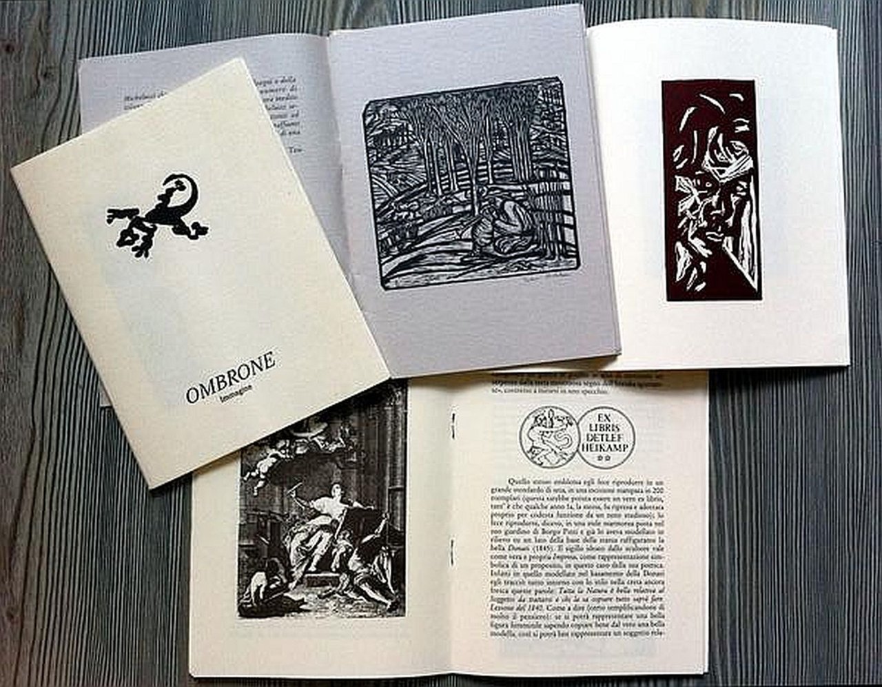 Ombrone. Dicembre 1992, n. 2. 1996, n. 1. Supplemento al … | Immagine principale