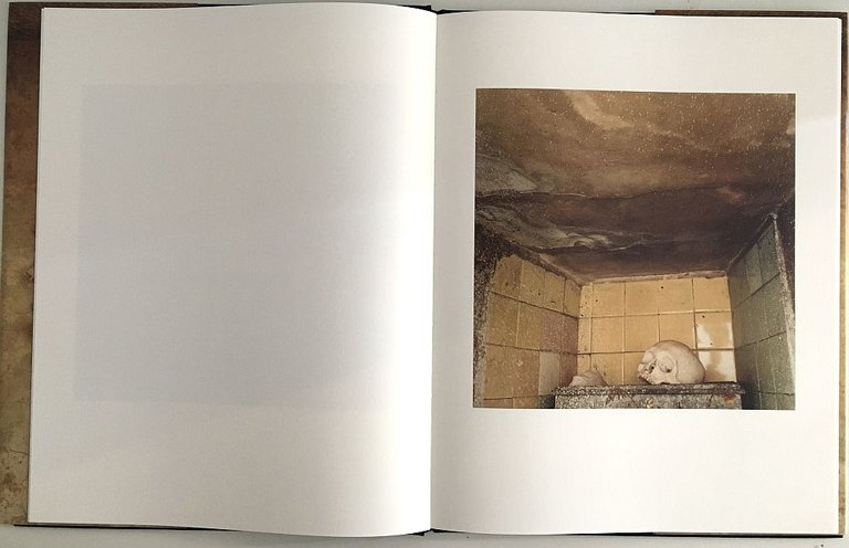 On View | Immagine Gallery 3