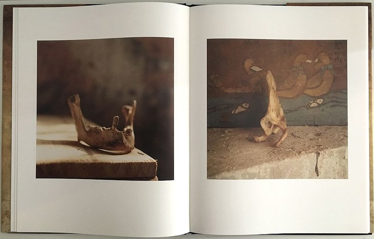 On View | Immagine Gallery 5