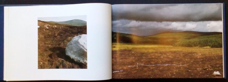 Paesaggi innocenti | Immagine Gallery 2