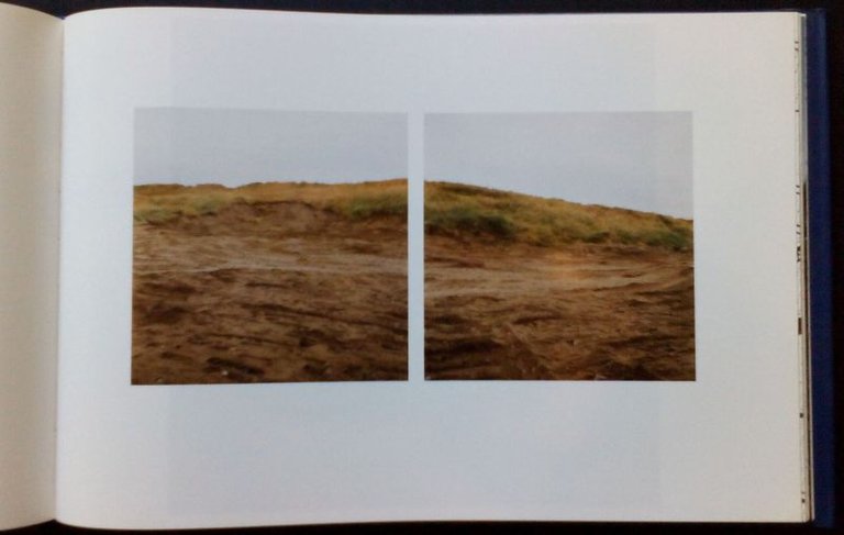 Paesaggi innocenti | Immagine Gallery 3