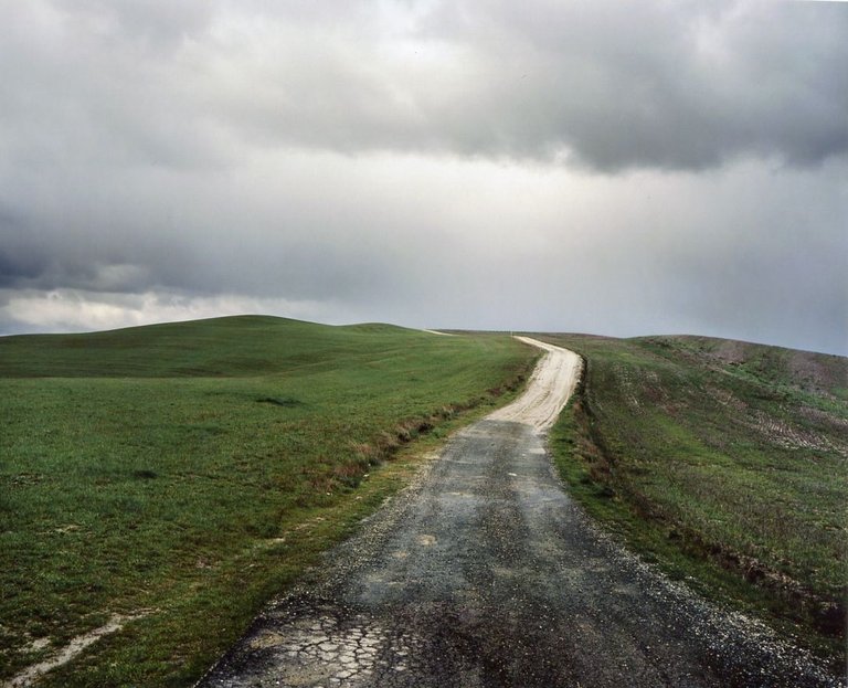Carlo Vigni. Paesaggi privati 1996-2012 | Immagine Gallery 3
